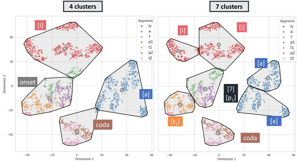 Syllable Position Prominence in Unsupervised Neural Network Segment Categorization
